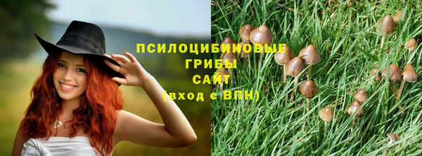 каннабис Белокуриха