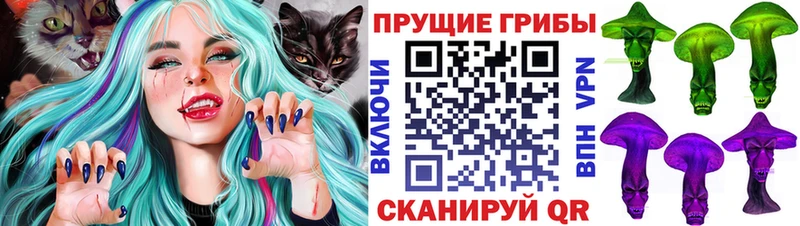 Псилоцибиновые грибы прущие грибы  что такое наркотик  сайты даркнета состав  Кондопога 